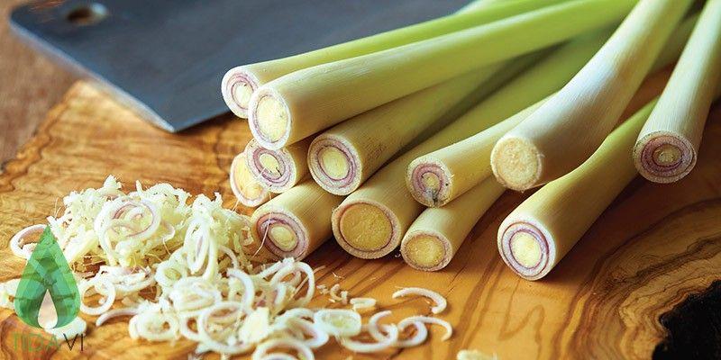 [HCM]TINH DẦU XẢ CHỐNG MUỖI CHO TRẺ SAKURA