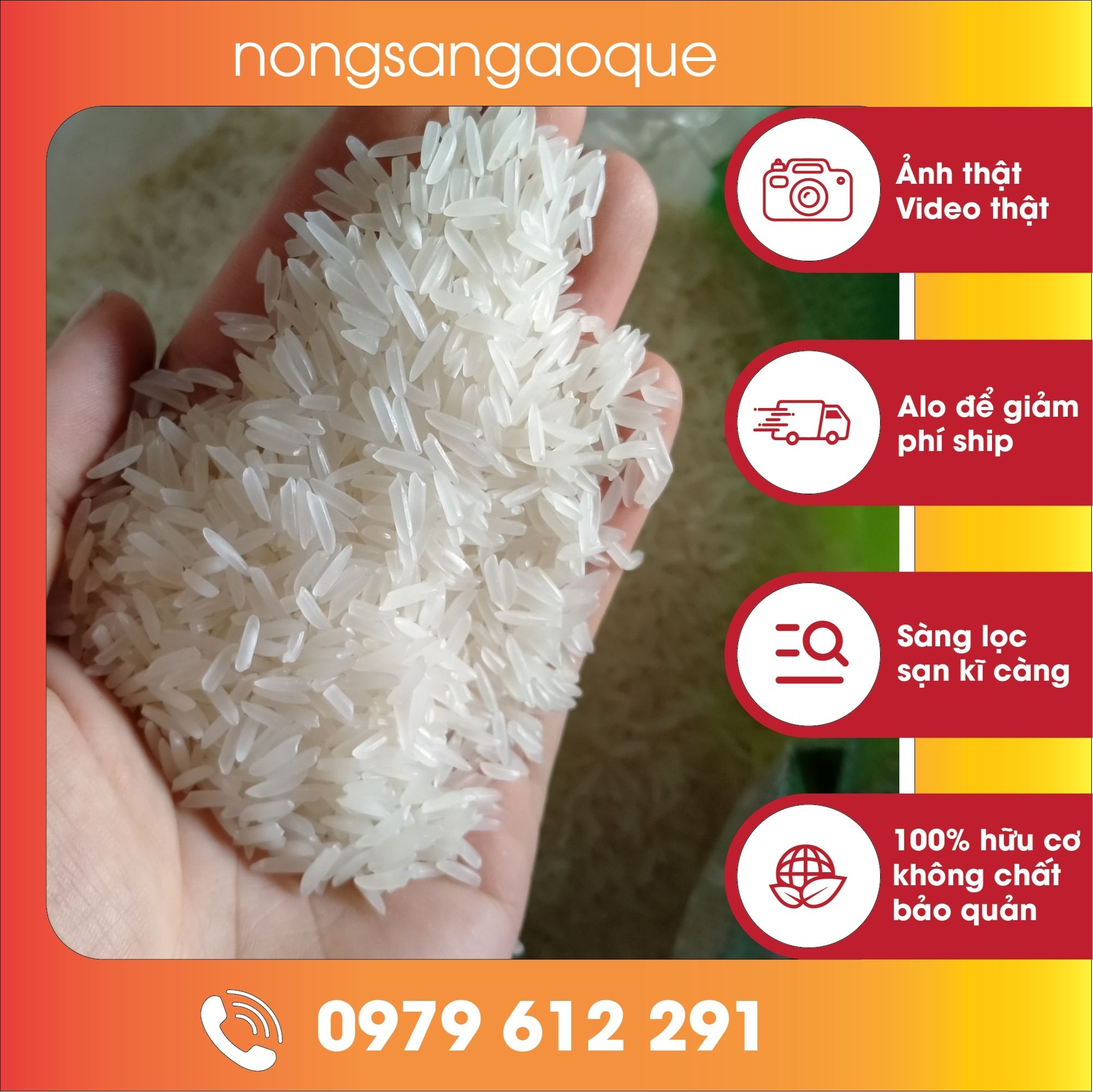 1kg Gạo ST25 - Gạo Thơm ST25 Ngon, Thơm, Dẻo(Chia từ bao to)