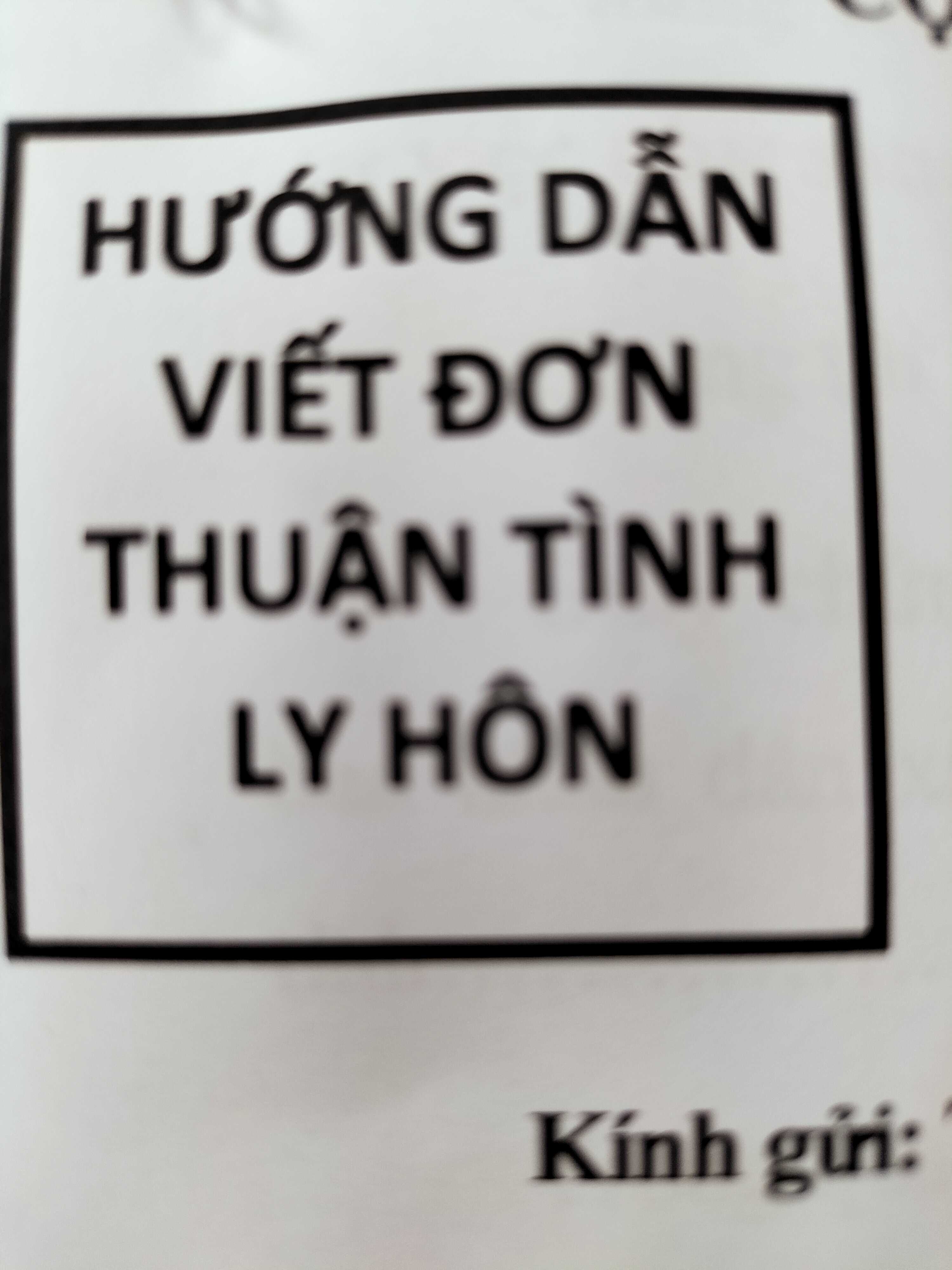 ĐƠN THUẬN TÌNH LY HÔN