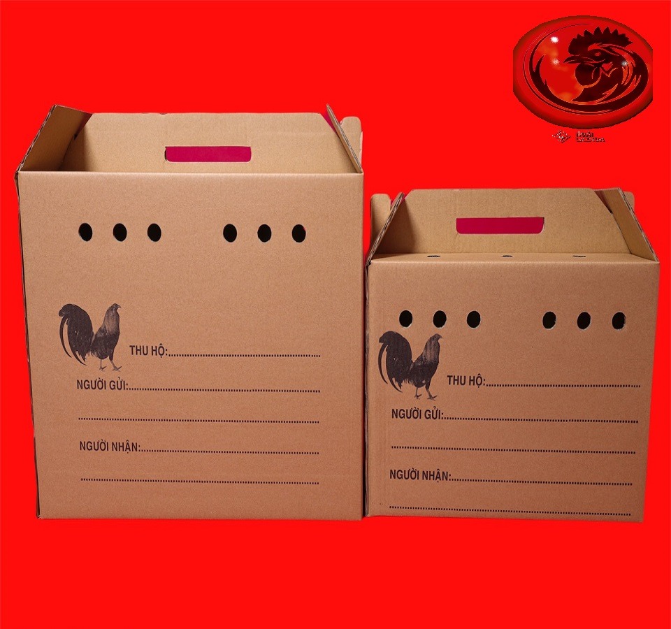 COMBO 5 THÙNG GIẤY ĐỰNG GÀ LÔNG