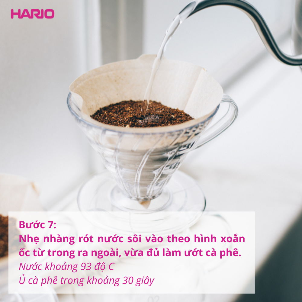 Hario V60 Coffee Paper Filter