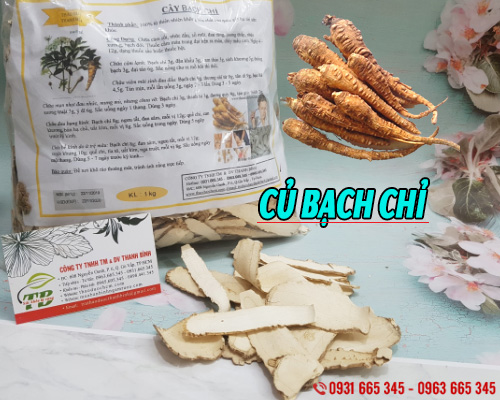 Củ bạch chỉ khô 100g hàng cty loại cao cấp - đông y thanh bình