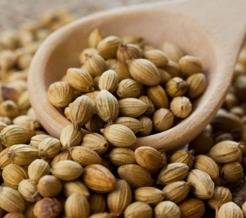 Coriander Seeds - Hạt rau Mùi Dhaniye k beej (100g - 500g)