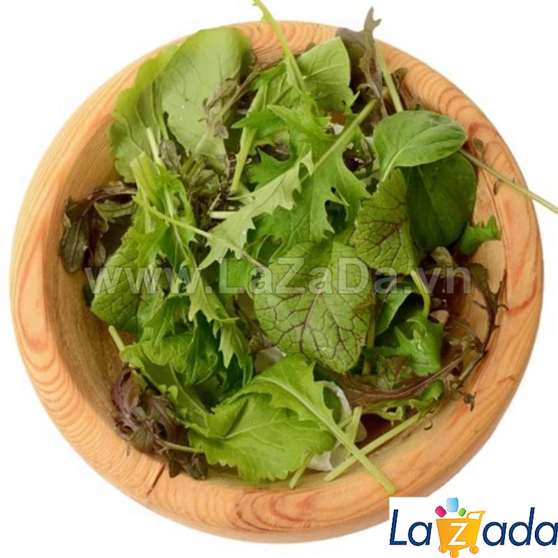 1Gr Hạt Giống Cải Mù Tạt Cải Cay Baby Mix (B2.405| C49*V51*M160)