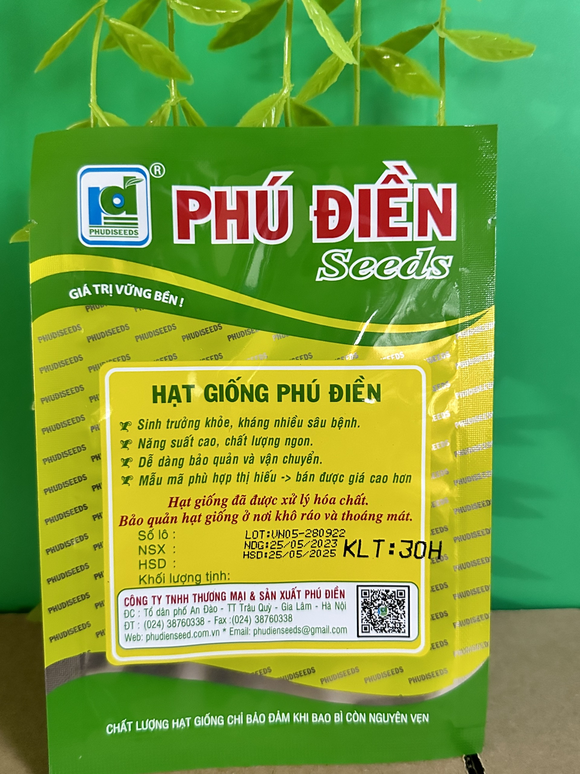 Hạt giống cà chua bi lùn quả đỏ PD 451