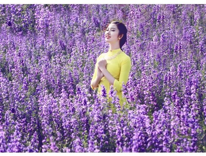 Tinh dầu hoa oải hương Lavender (10ml)