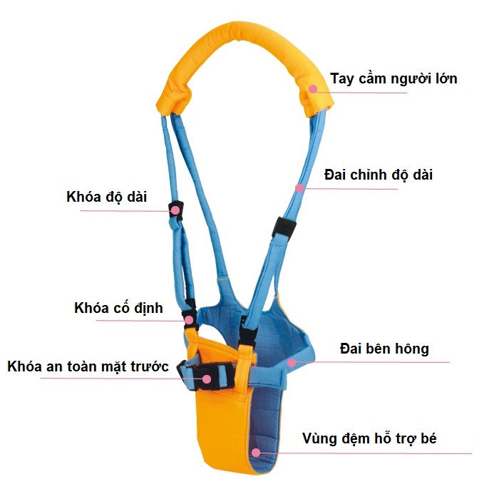 Đai tập đi ôm mông RoyaL