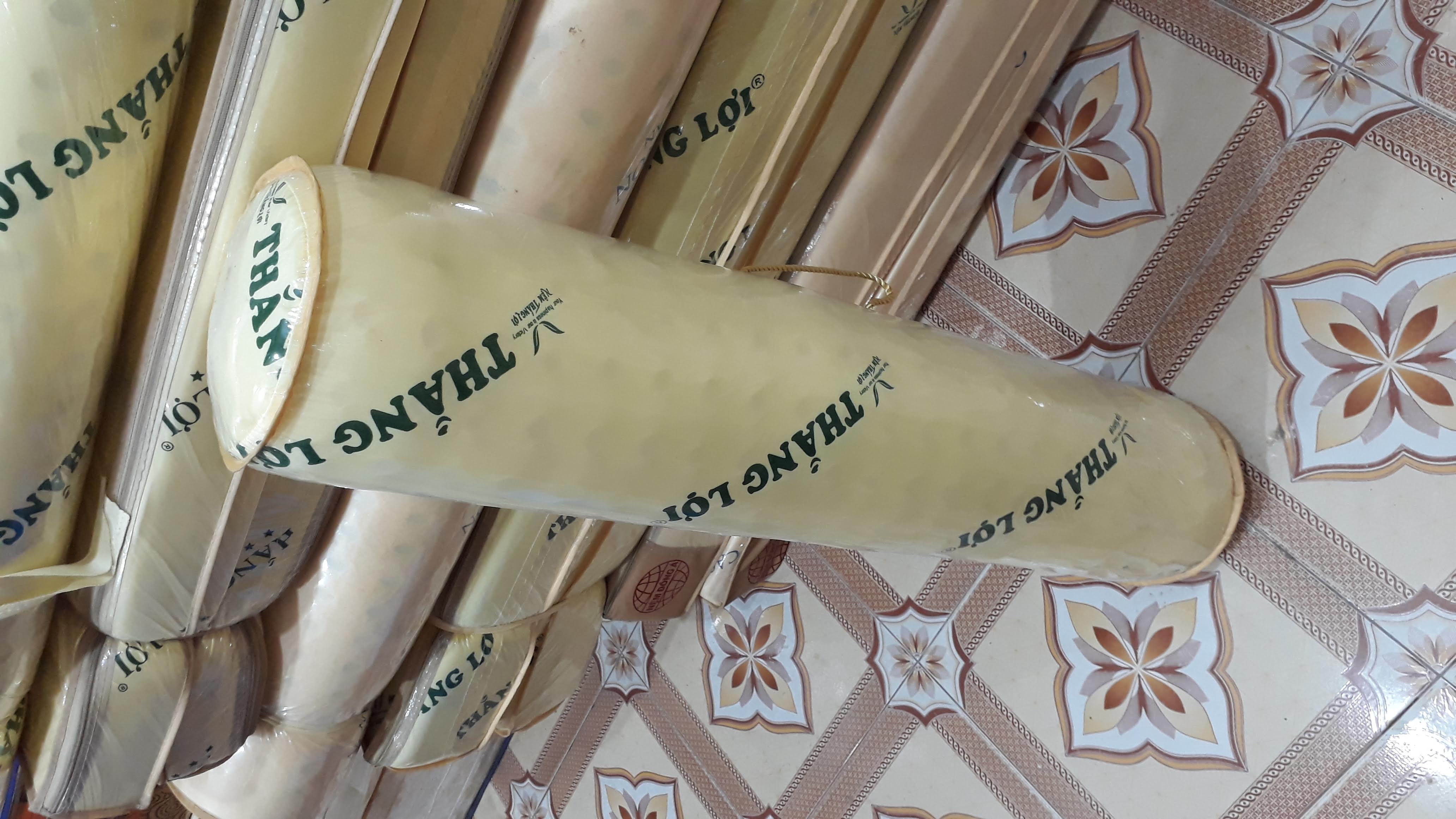 [HCM]GỐI ÔM CAO SU NON THẮNG LỢI
