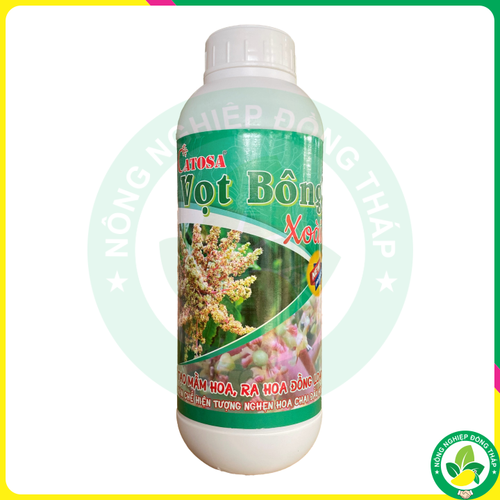 Vọt bông xoài - tạo mầm hoa, ra hoa đồng loạt