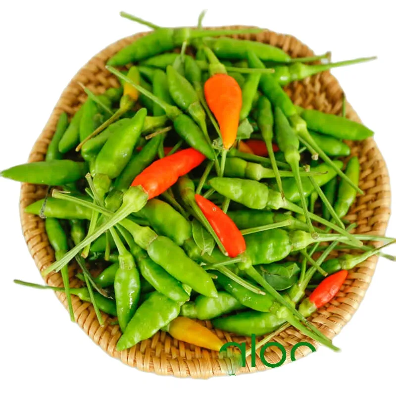 Hạt giống ớt Xiêm ớt hiểm xanh gói 50-70 hạt/gói giá rẻ