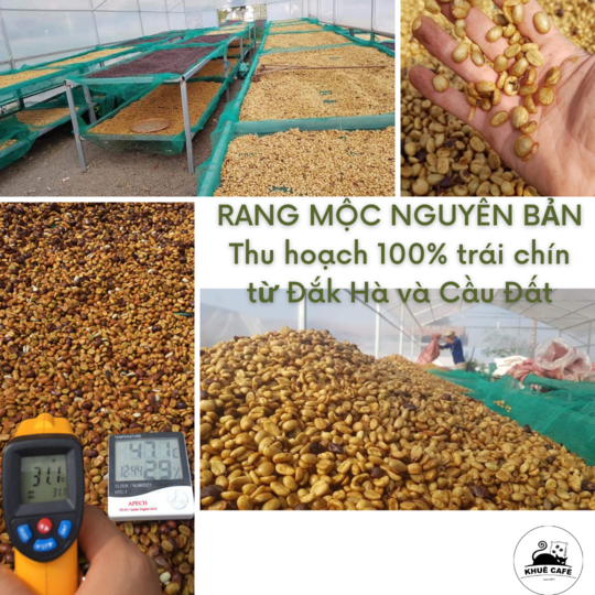 Cà phê pha phin nguyên chất rang mộc Robusta Đắk Hà từ Khuê Cà Phê