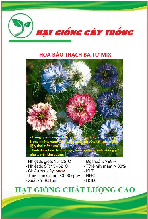 Hạt giống hoa bảo thạch ba tư nhiều màu - Gói 50 hạt