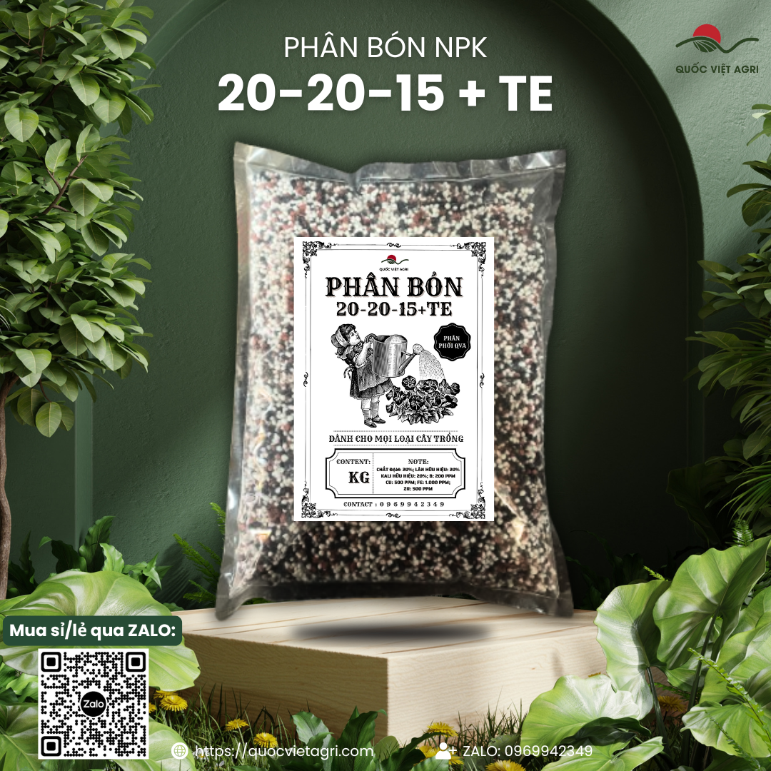Phân bón NPK 20-20-15+TE CHÂU ÂU (gói 1KG)