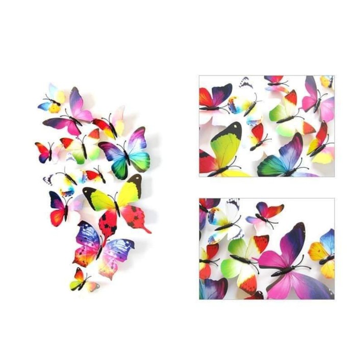 SET 12 bướm 3D gắn tường nhiều màu