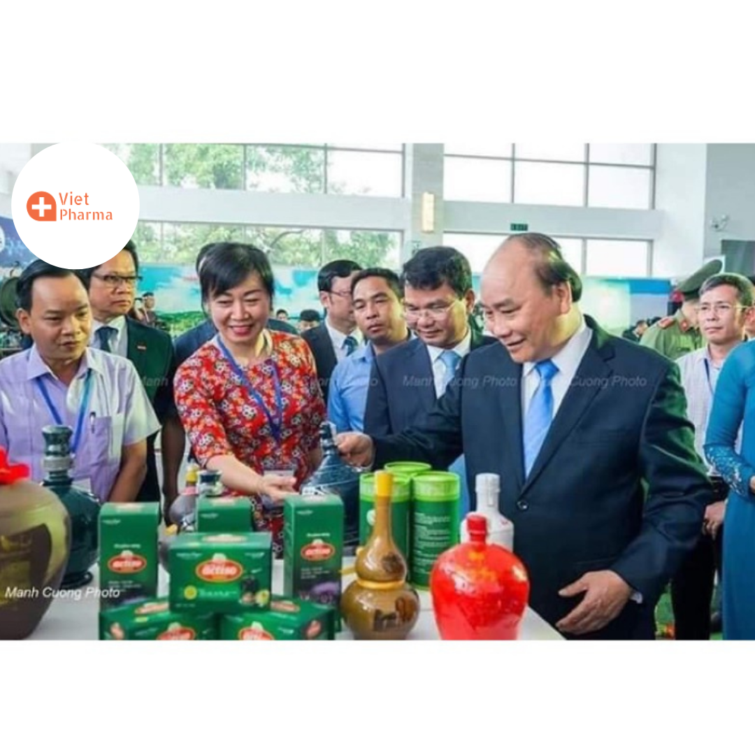 Cao mềm Actiso sapa - Đảng sâm