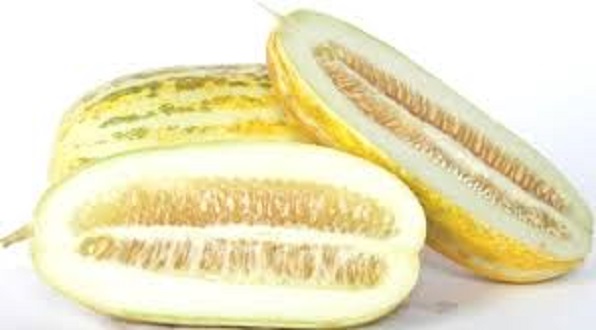 1g Hạt giống dưa gang sai trái