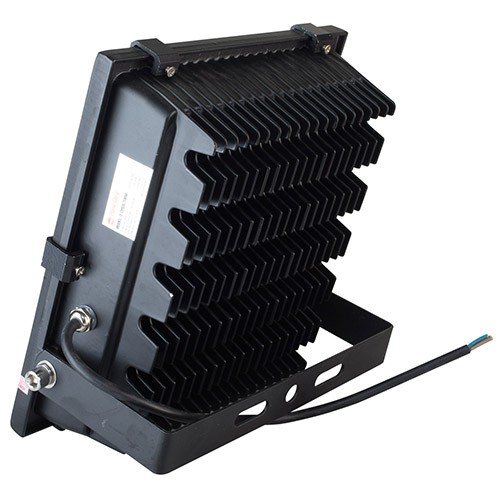 Đèn pha LED 20W Rạng Đông CP06L 20W