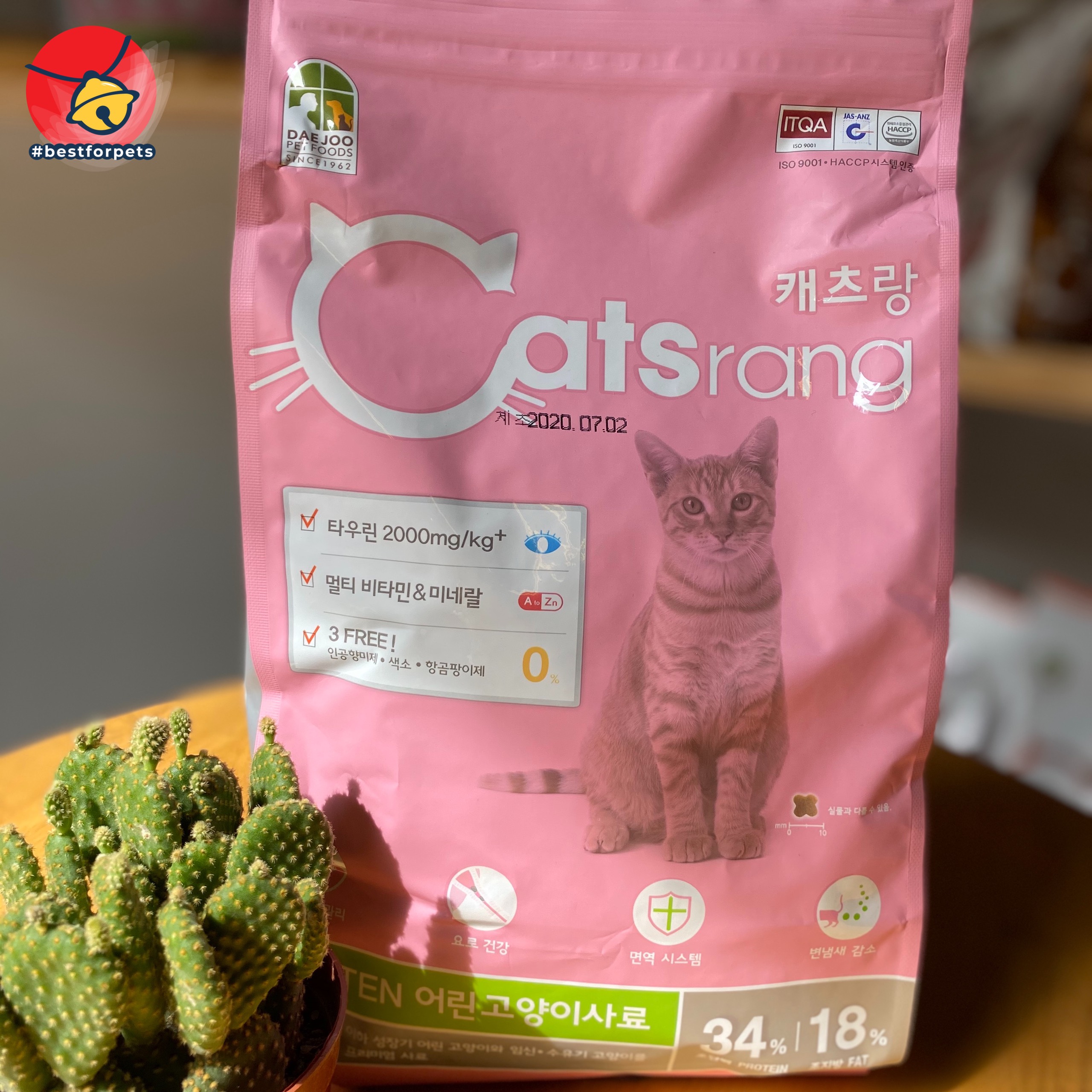 [Hoàn tiền 10%] Thức ăn cho mèo con Catsrang Kitten