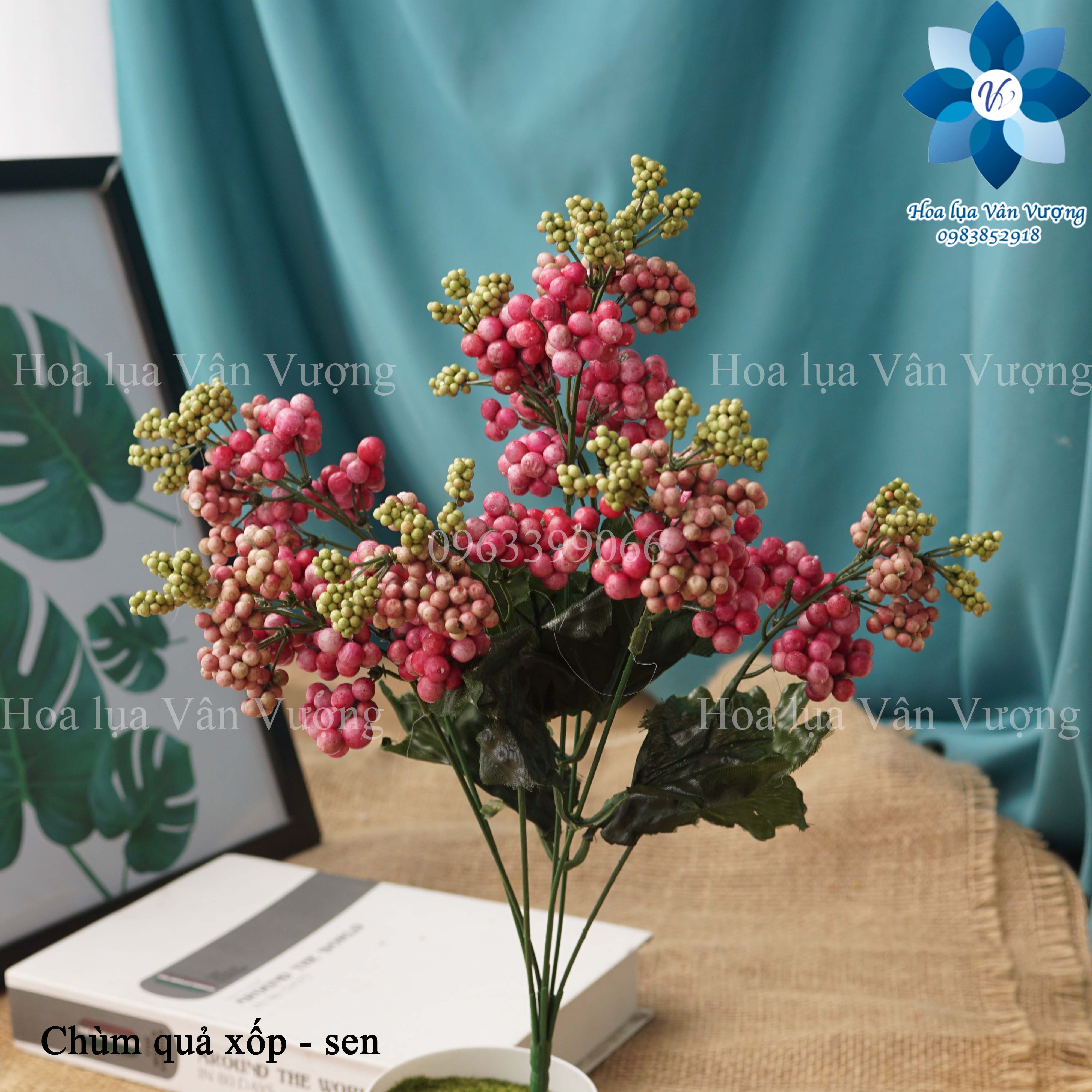 Hoa Giả, Chùm Quả Xốp Điểm