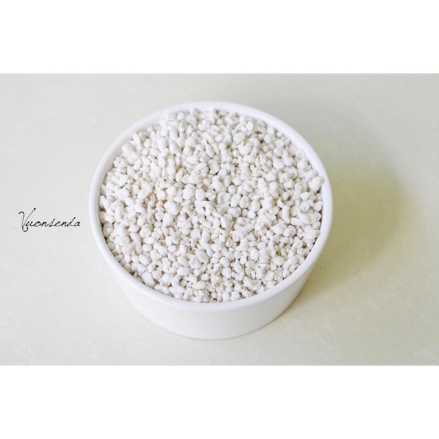 Đá perlite (100g)