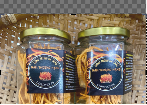Đông Trùng Hạ Thảo