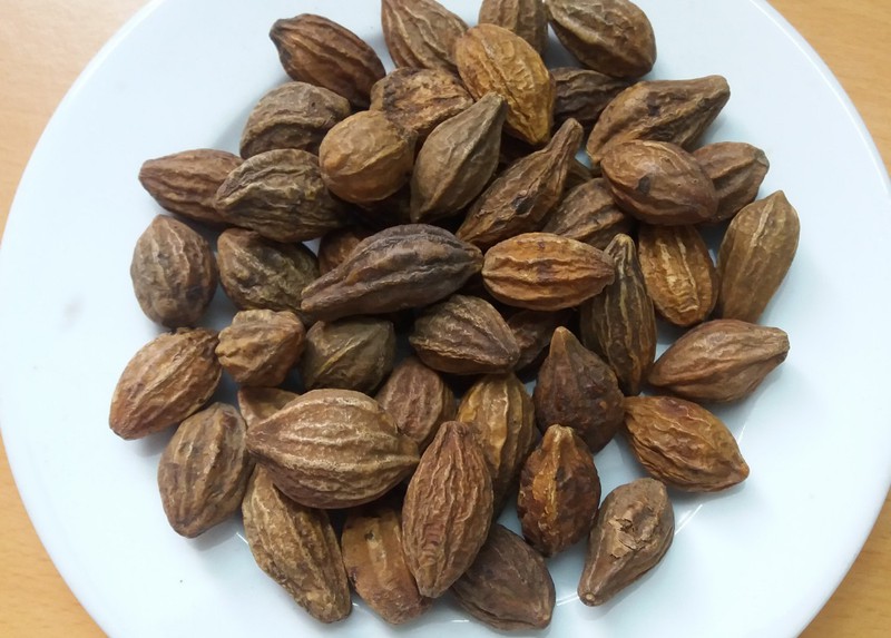 [HCM]KHA TỬ HỮU CƠ 100gram