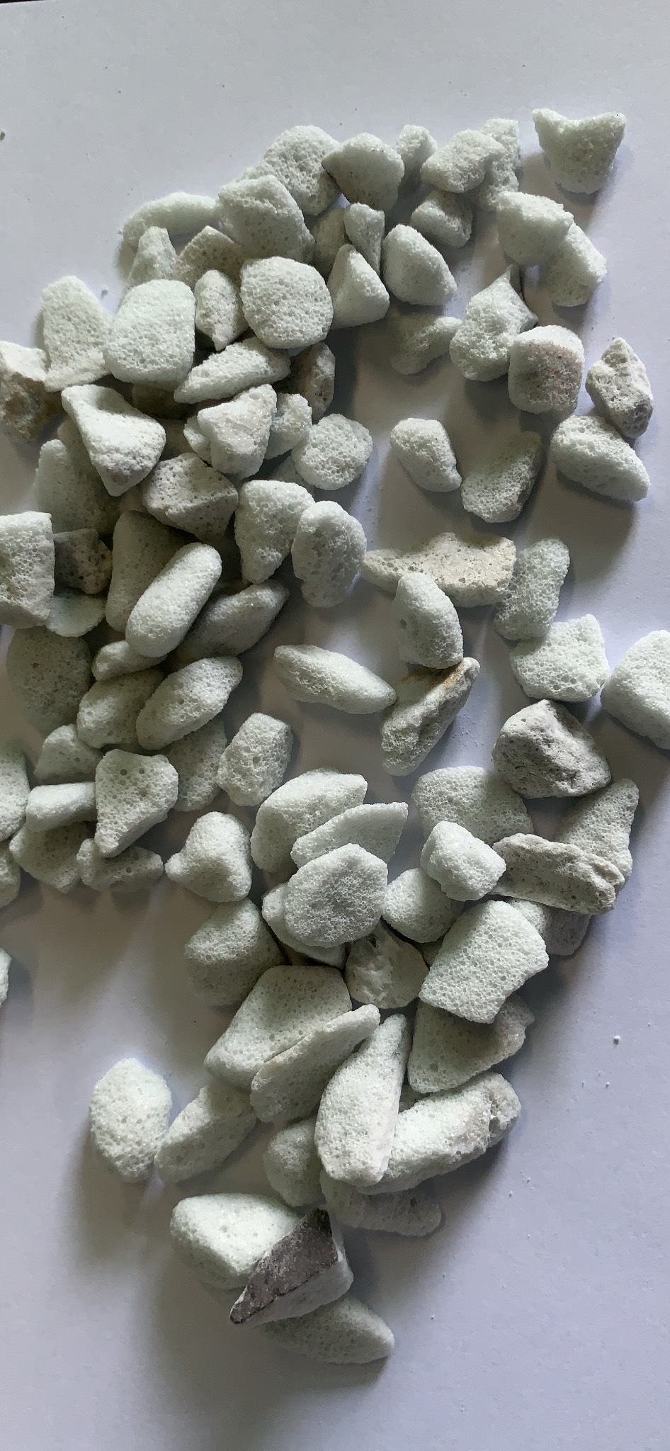 Đá trân châu Perlite trồng sen đá hoa lan túi 2 lít