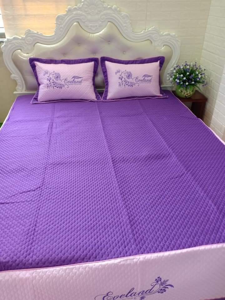 Bộ chăn ga cotton satin poly 7 món trần bông ( được chọn mẫu )