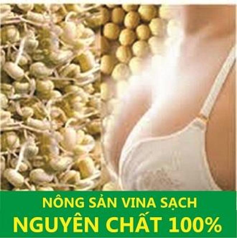 Bột Mầm Đậu Nành 500g - Tăng Vòng 1 Nhanh Chóng (Tặng 100g Bột Khác Loại) nhập khẩu