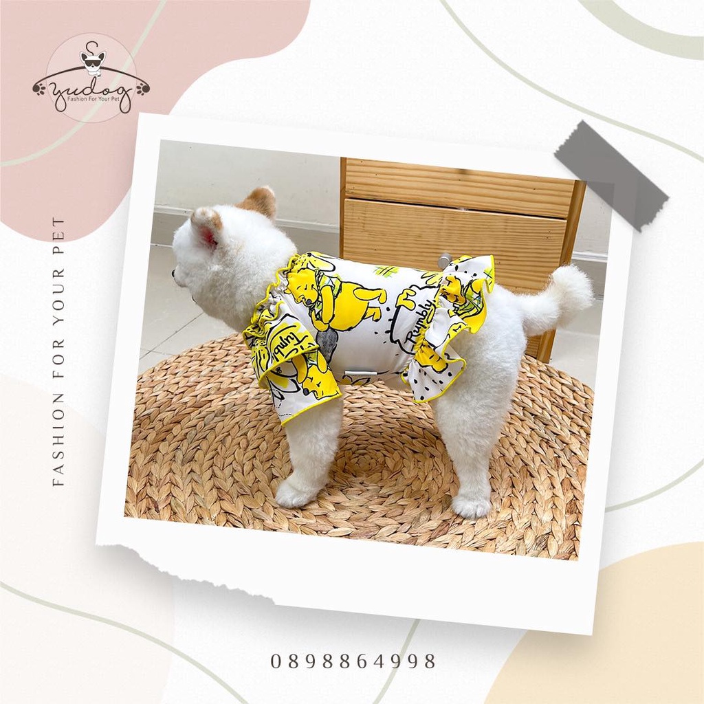 Đầm gấu poor vàng dành cho chó mèo yudog