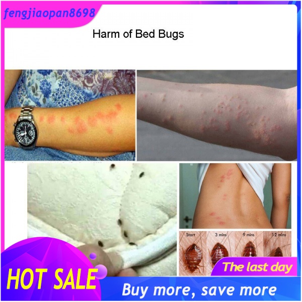 15 PCs bed bug insect killer bed bug insect killer powder killer