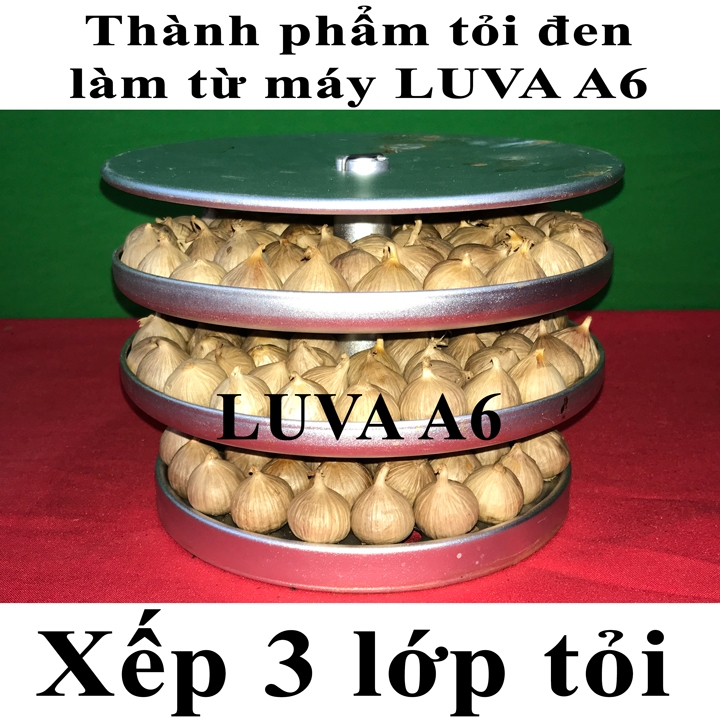 [ FREESHIP Toàn Quốc ] Máy làm tỏi đen Luva A6 công nghệ Nhật Bản