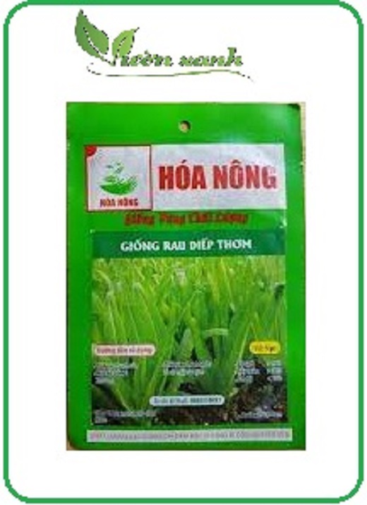 Hạt giống Rau diếp thơm đặc biệt