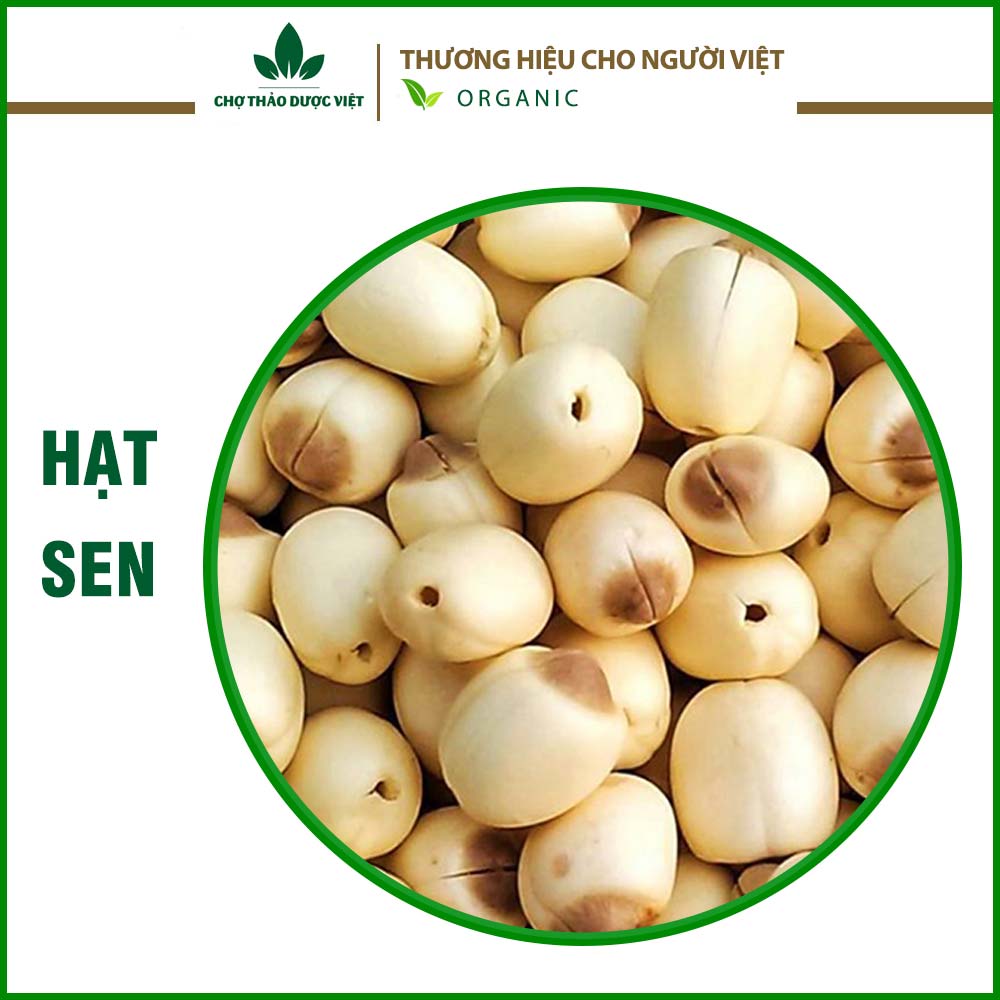 Hạt sen khô 100g, hạt sen Huế thơm bở nấu chè, hầm canh thơm ngon bổ dưỡng