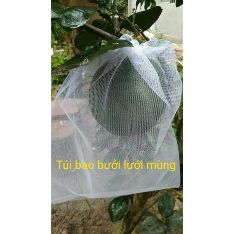 100 túi bọc bưởi mãng cầu (30x35cm)