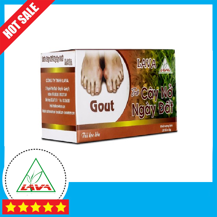 Trà Nở Ngày Đất (hộp 30 túi lọc) - Dành Cho Người Bệnh Gút, Acid Uric Cao