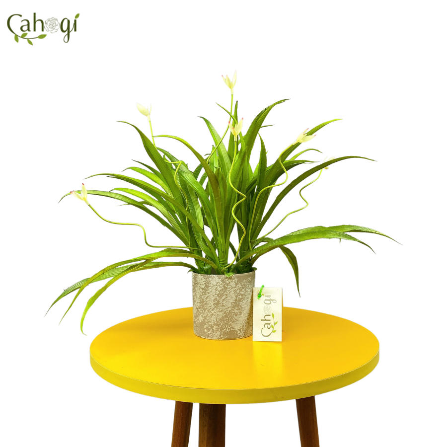 Cây Giả Cây Lan Chi 2 Nụ