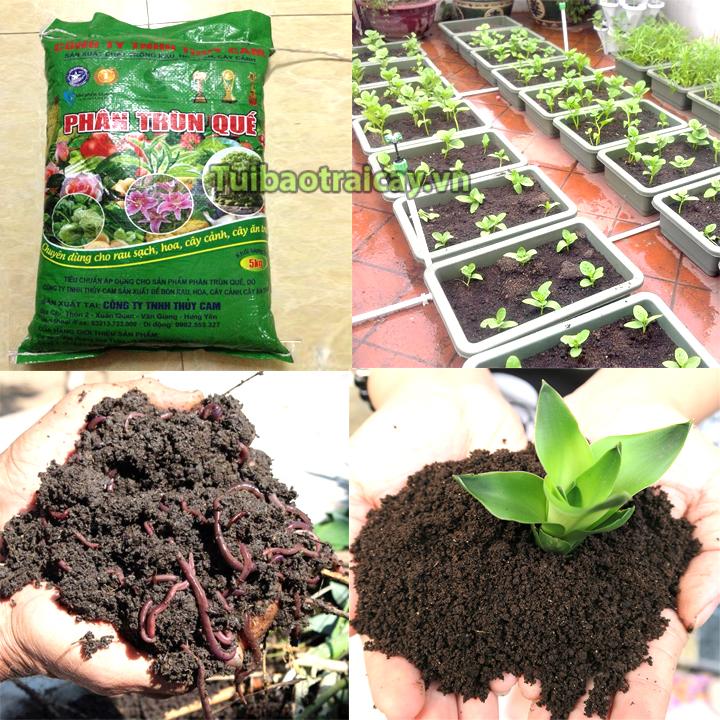 5 Kg Phân bón trùn quế