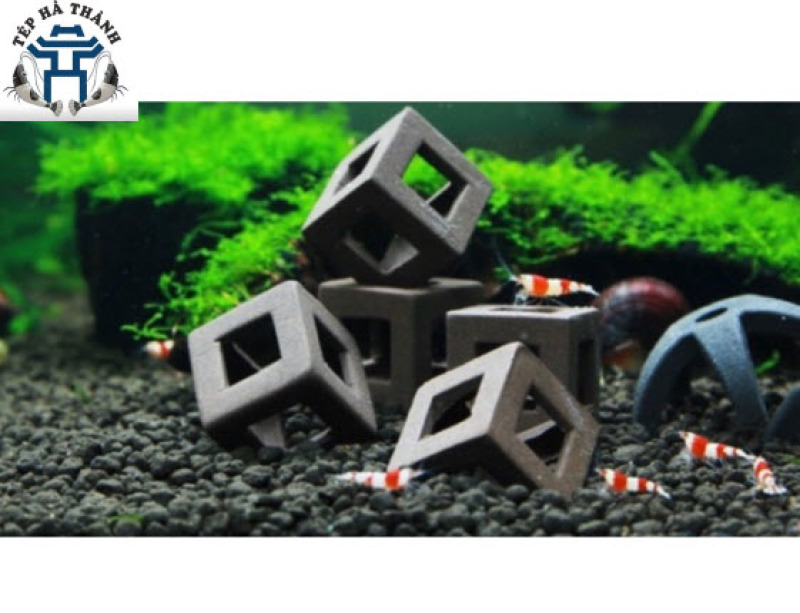 Đồ Chơi Tép Hộp Vuông Cho Tép Cảnh 1 Cục