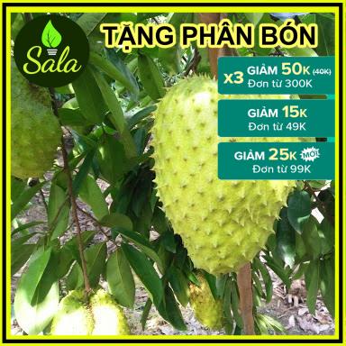 CÂY GIỐNG MÃNG CẦU XIÊM THÁI LAN