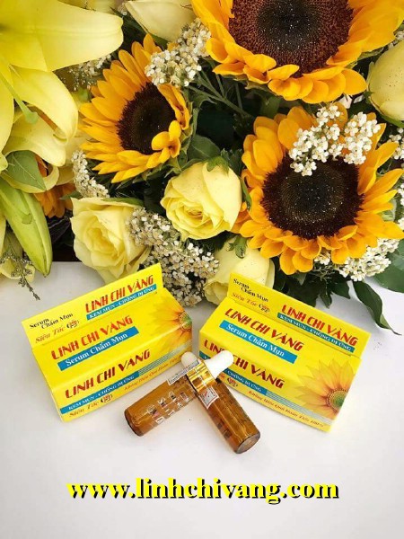 [HCM]Serum Chấm Mụn - Linh Chi Vàng