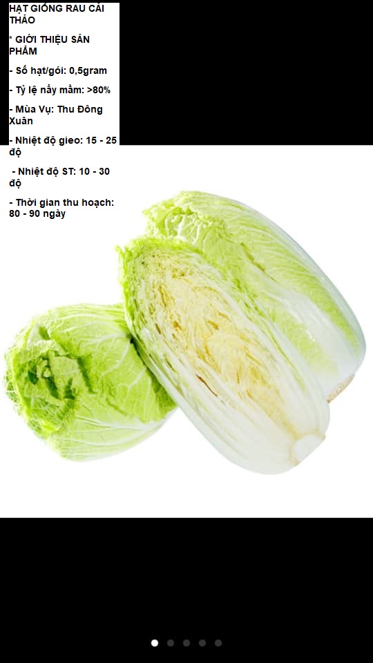 0.5gram ~ 100 HẠT GIỐNG RAU CẢI THẢO STT0001
