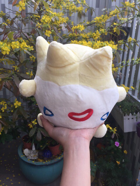 [HCM]Gấu bông pokemon trứng Togepy