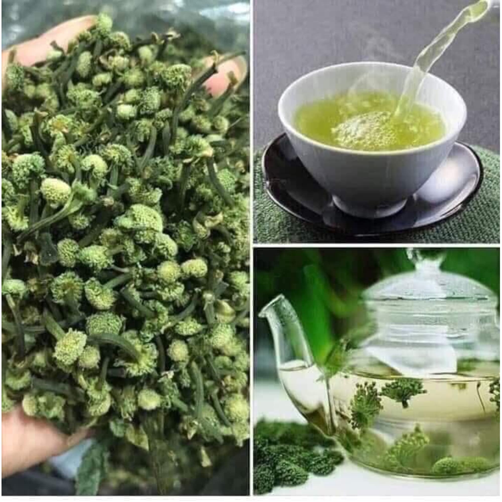 [100g] Nụ hoa tam thất loại thượng hạng - trà