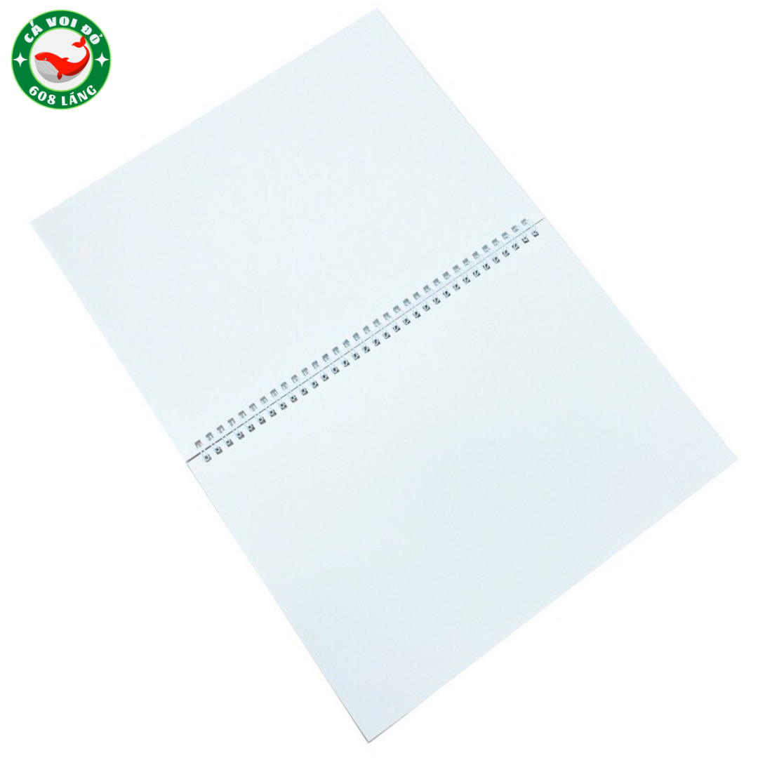 Vở Vẽ Hải Tiến A4 3828