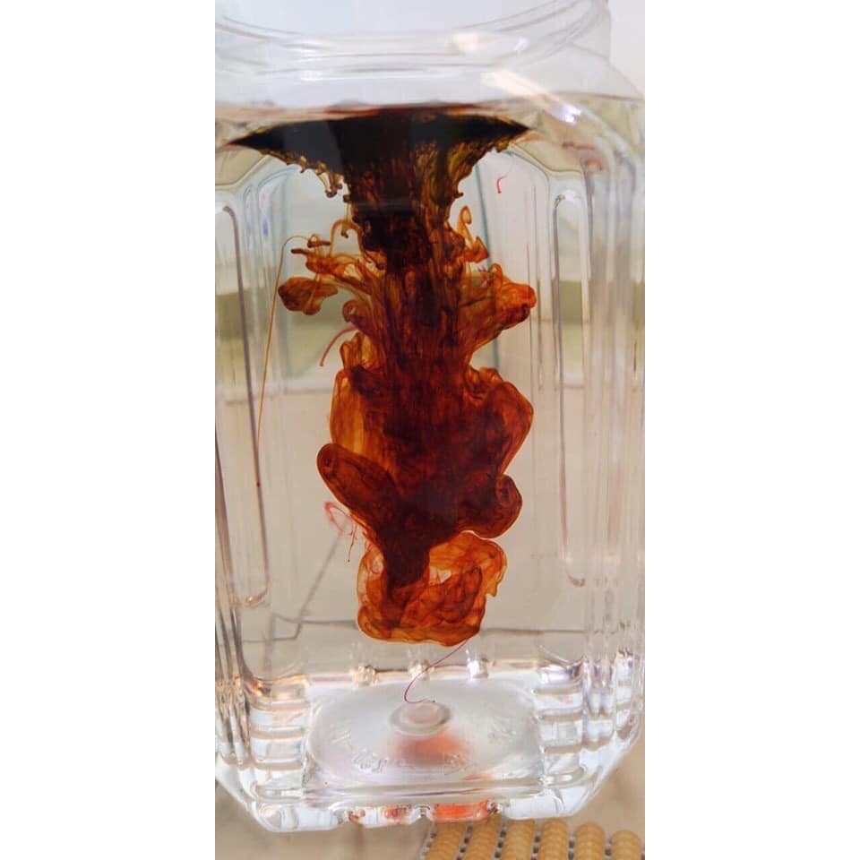 [HCM]Colorful Powder 25g - Bột dưỡng cá Betta Thái Lan