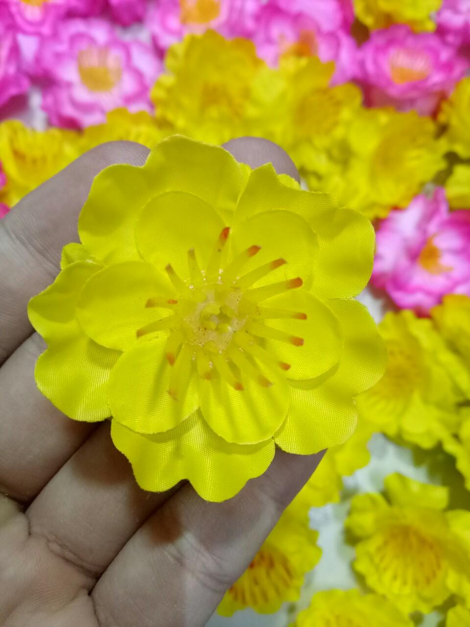 0.5 kg hoa mai và kẽm buộc