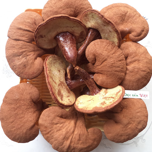 NẤM LINH CHI ĐH THỦ DẦU 1 TÚI 500GR