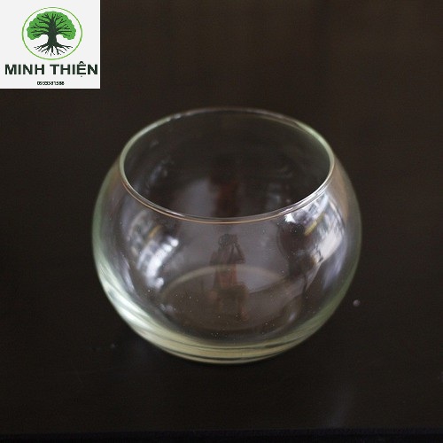 [HCM]Bể Cá Thủy Tinh  Bầu Hồ Cá D10CM x H8CM T07