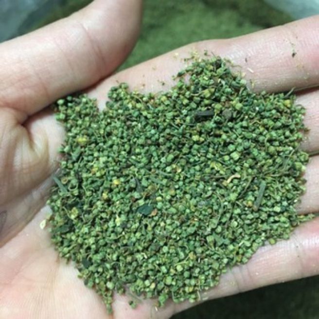 sỉ toàn quốc 1kg nụ non tam thất bao tử
